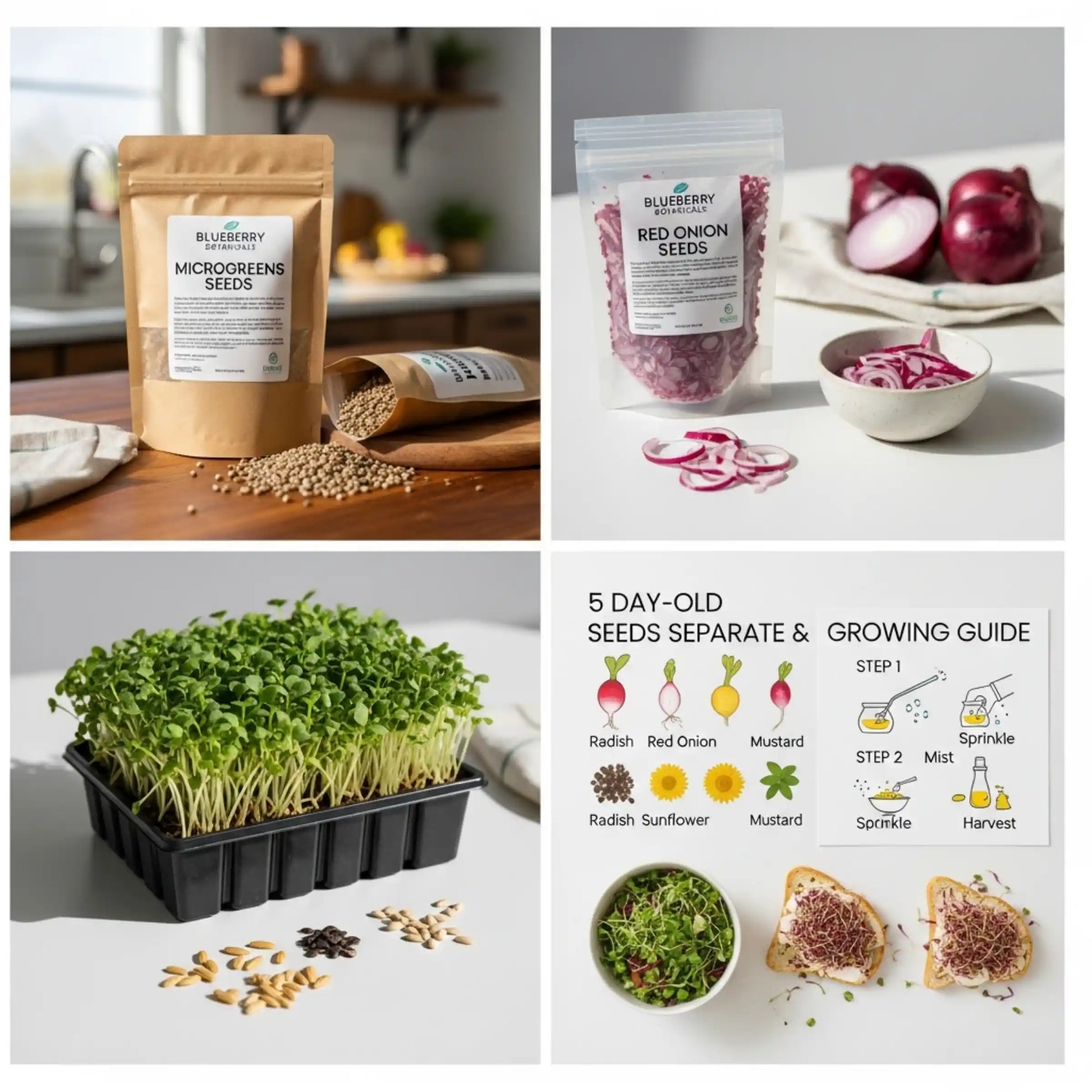 Red Onion Microgreens Seeds 100g – Mild Sweet Onion Flavor – Premium Quality