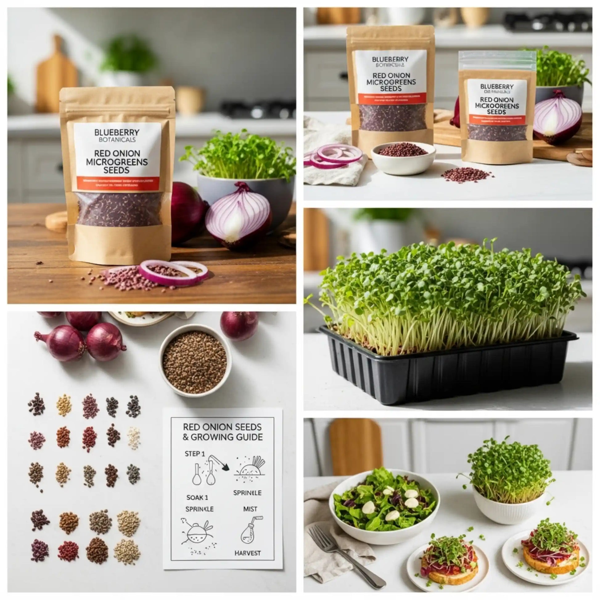 Red Onion Microgreens Seeds 100g – Mild Sweet Onion Flavor – Premium Quality