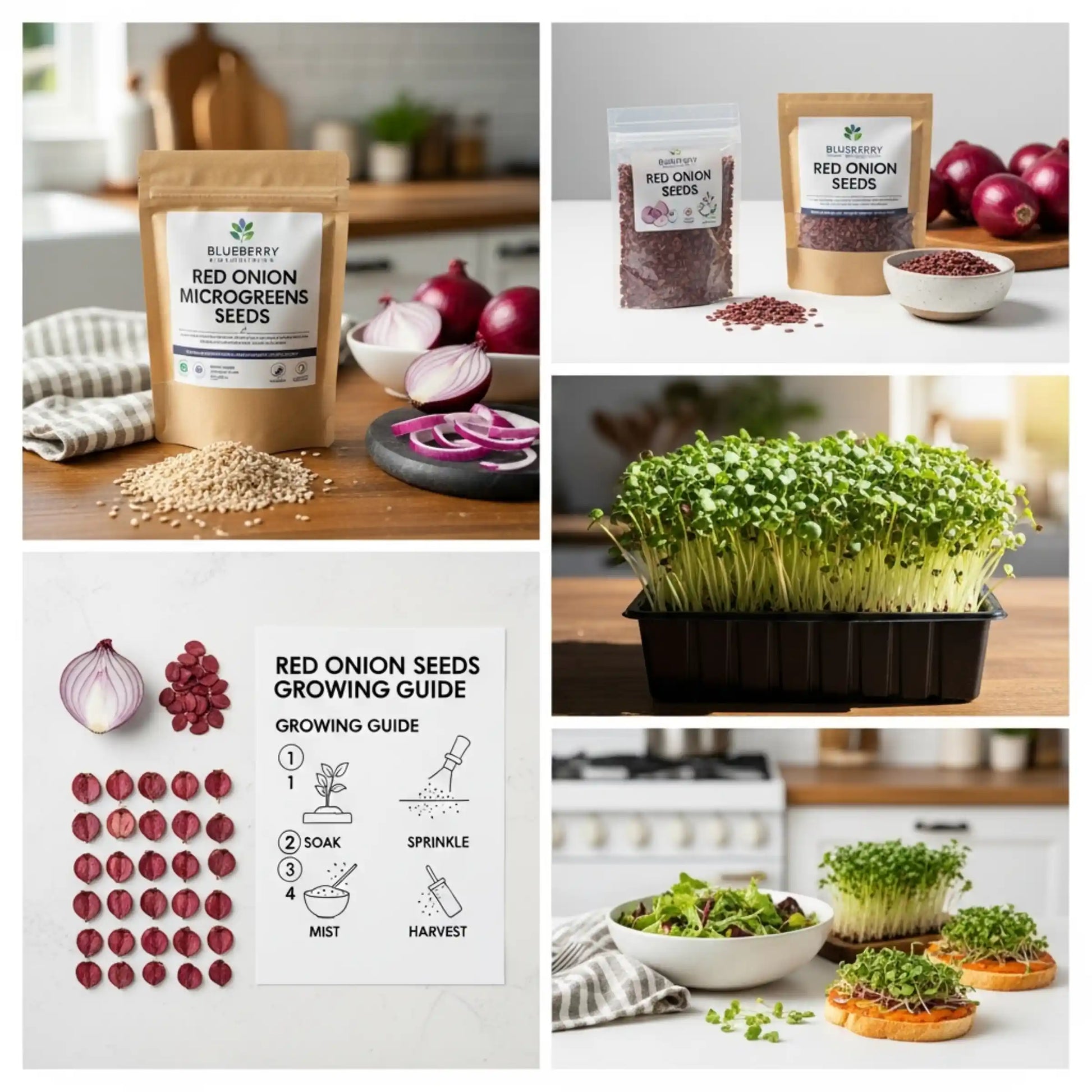 Red Onion Microgreens Seeds 100g – Mild Sweet Onion Flavor – Premium Quality