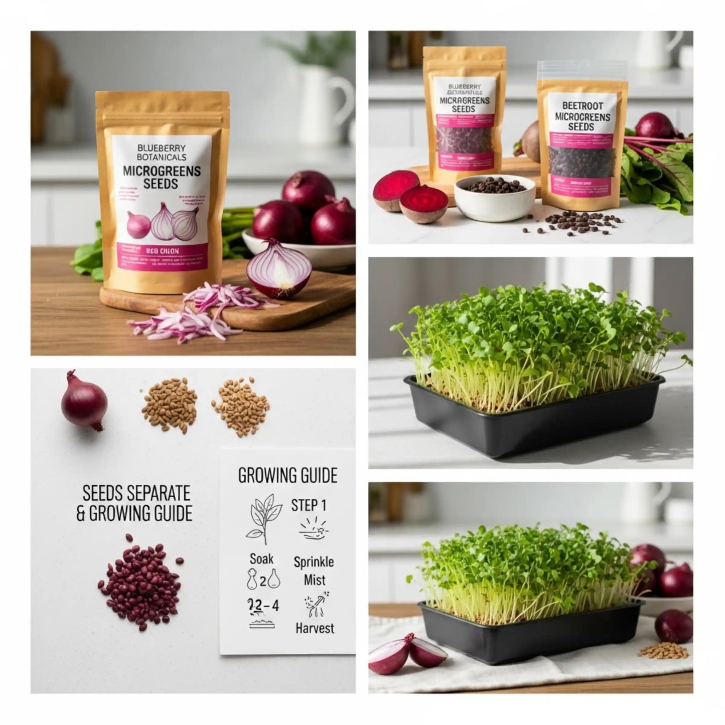 Red Onion Microgreens Seeds 100g – Mild Sweet Onion Flavor – Premium Quality