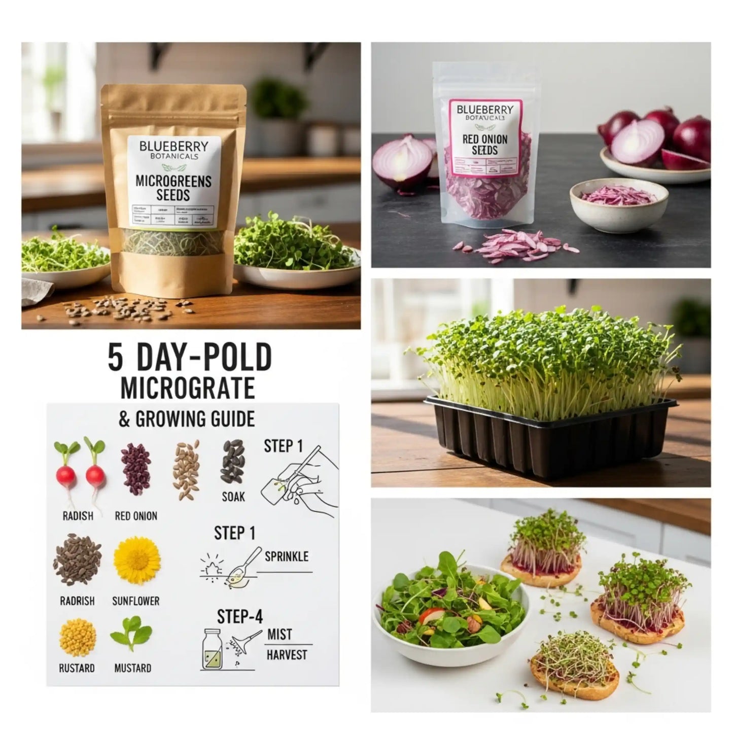 Red Onion Microgreens Seeds 100g – Mild Sweet Onion Flavor – Premium Quality