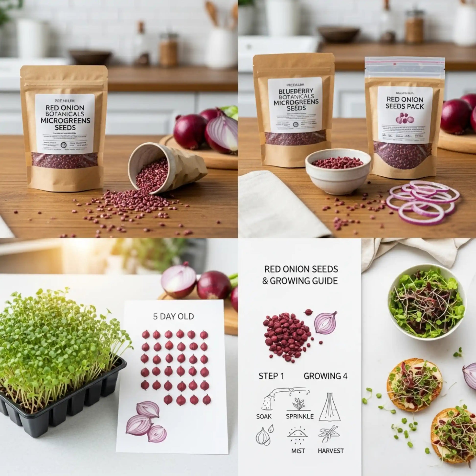Red Onion Microgreens Seeds 100g – Mild Sweet Onion Flavor – Premium Quality