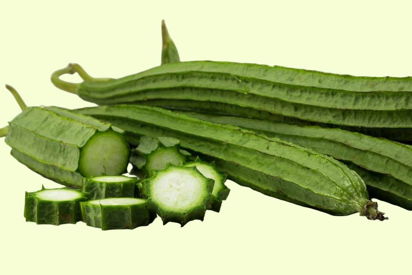 Ridge Gourd Seeds 16pcs - Country Variety Climbing Vine- Blueberry Botanicals