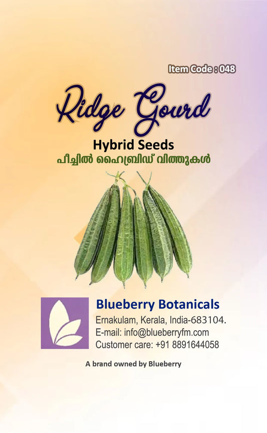 Ridge Gourd Seeds 16pcs - Hybrid Climbing High Yield- Blueberry Botanicals