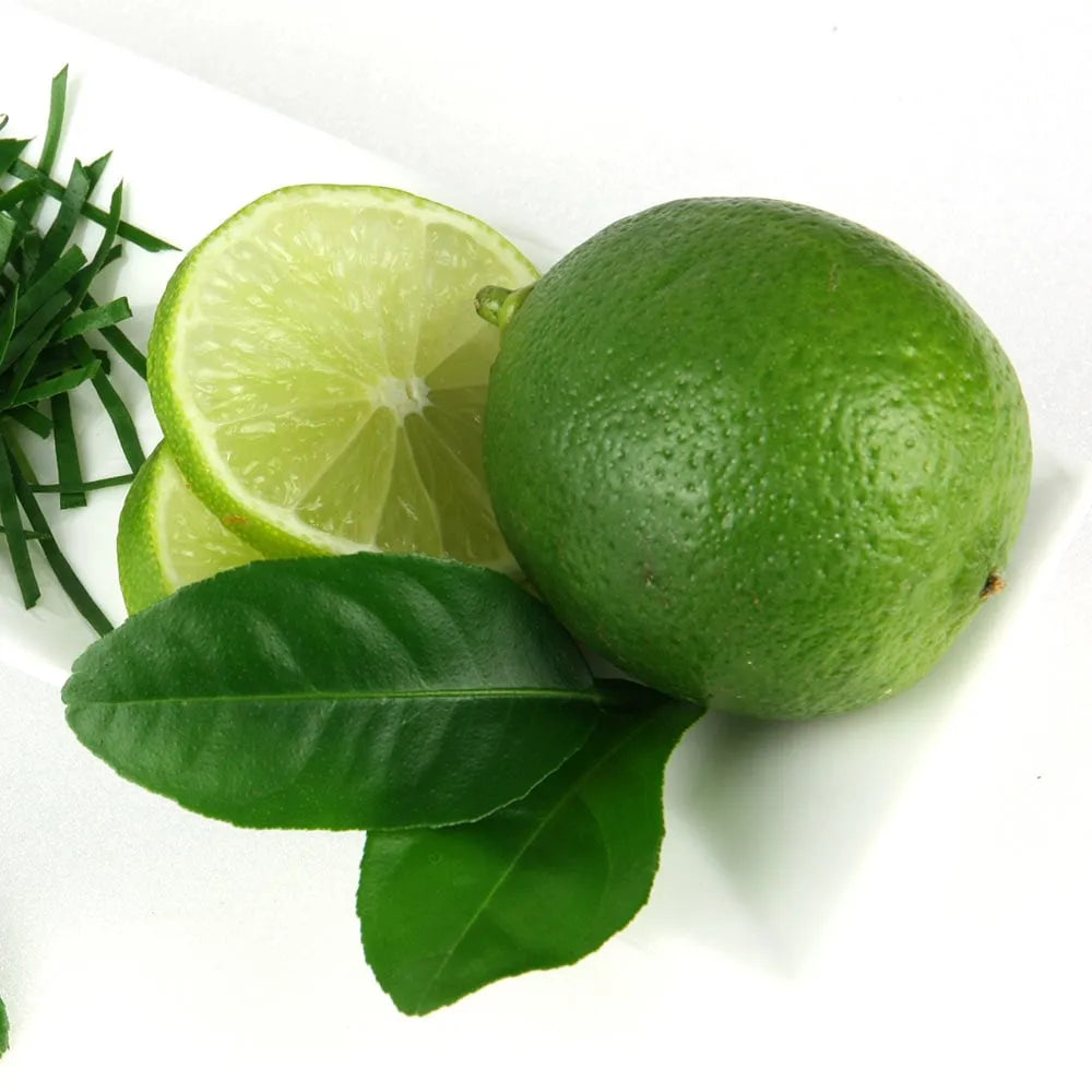 Seedless Lemon 30cm | High Yield | Blueberry Botanicals