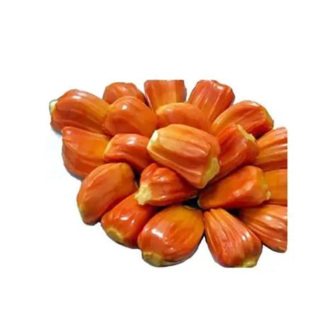 sindhooravarikka-30cm-kerala-variety-blueberry-botanicals