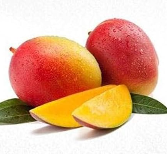 Sindooram Mango 30cm | Kerala Red | Blueberry Botanicals