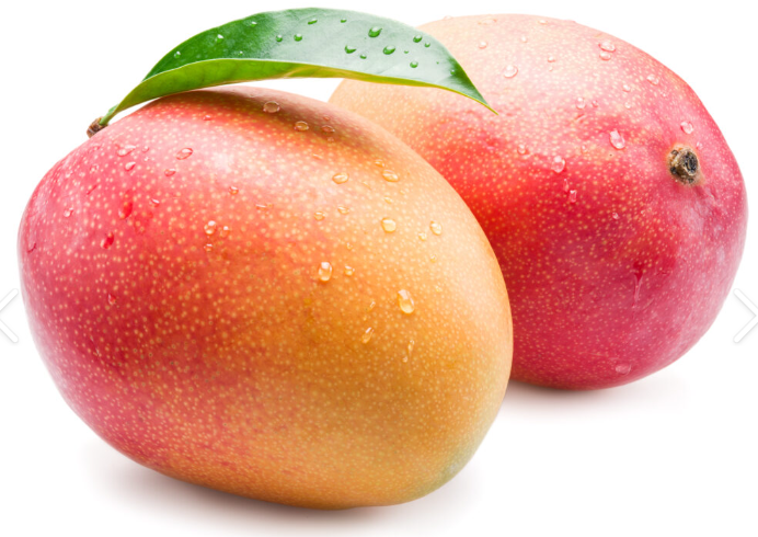 Sindooram Mango 30cm | Kerala Red | Blueberry Botanicals