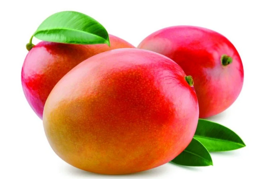 Sindooram Mango 30cm | Kerala Red | Blueberry Botanicals