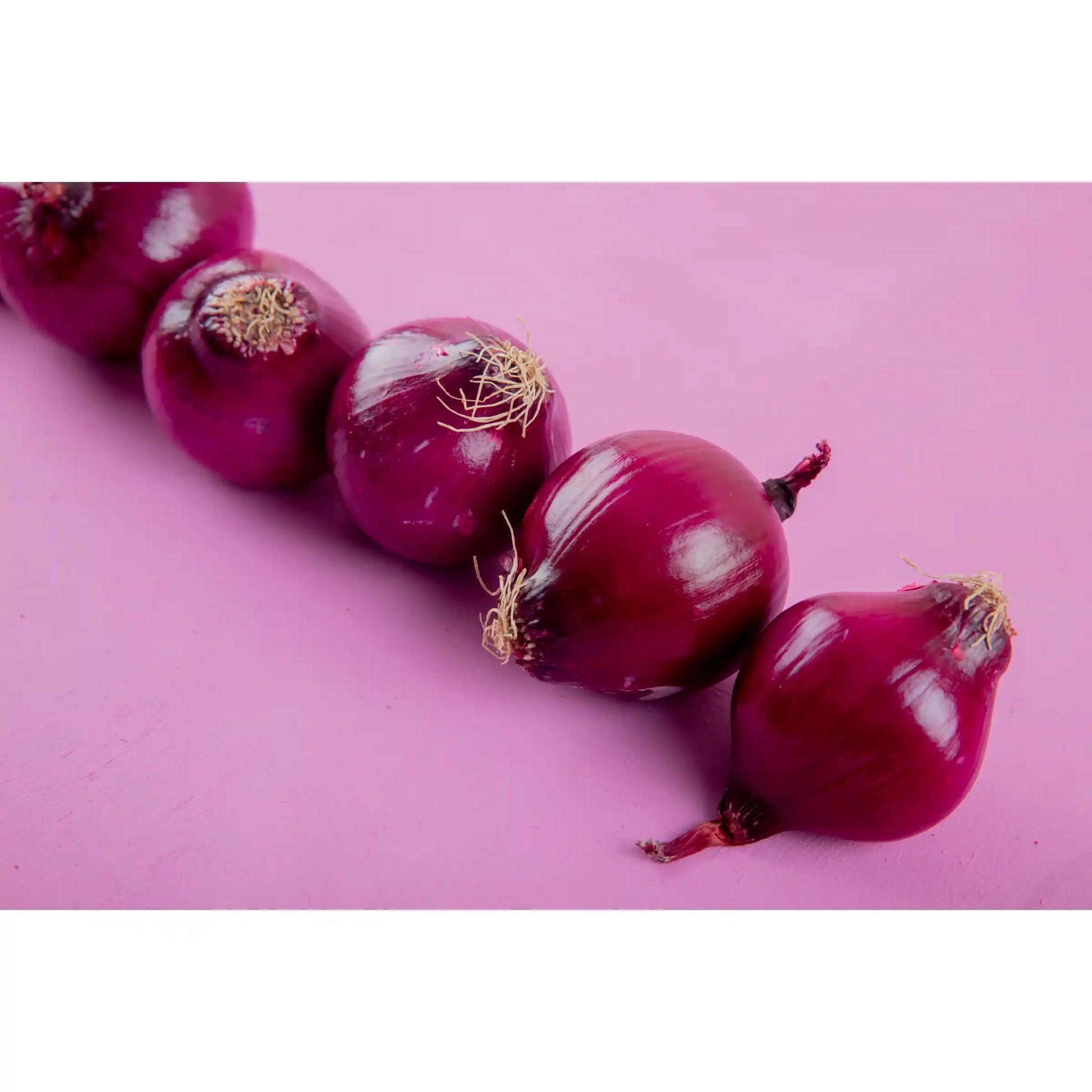 small-onion-seeds-co-variety-gms-pack-shallot-multiplier-blueberry-botanicals