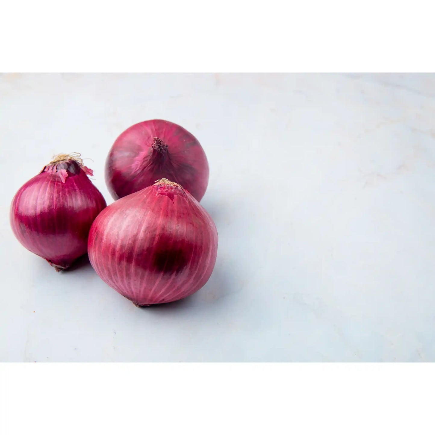 small-onion-seeds-co-variety-gms-pack-shallot-multiplier-blueberry-botanicals