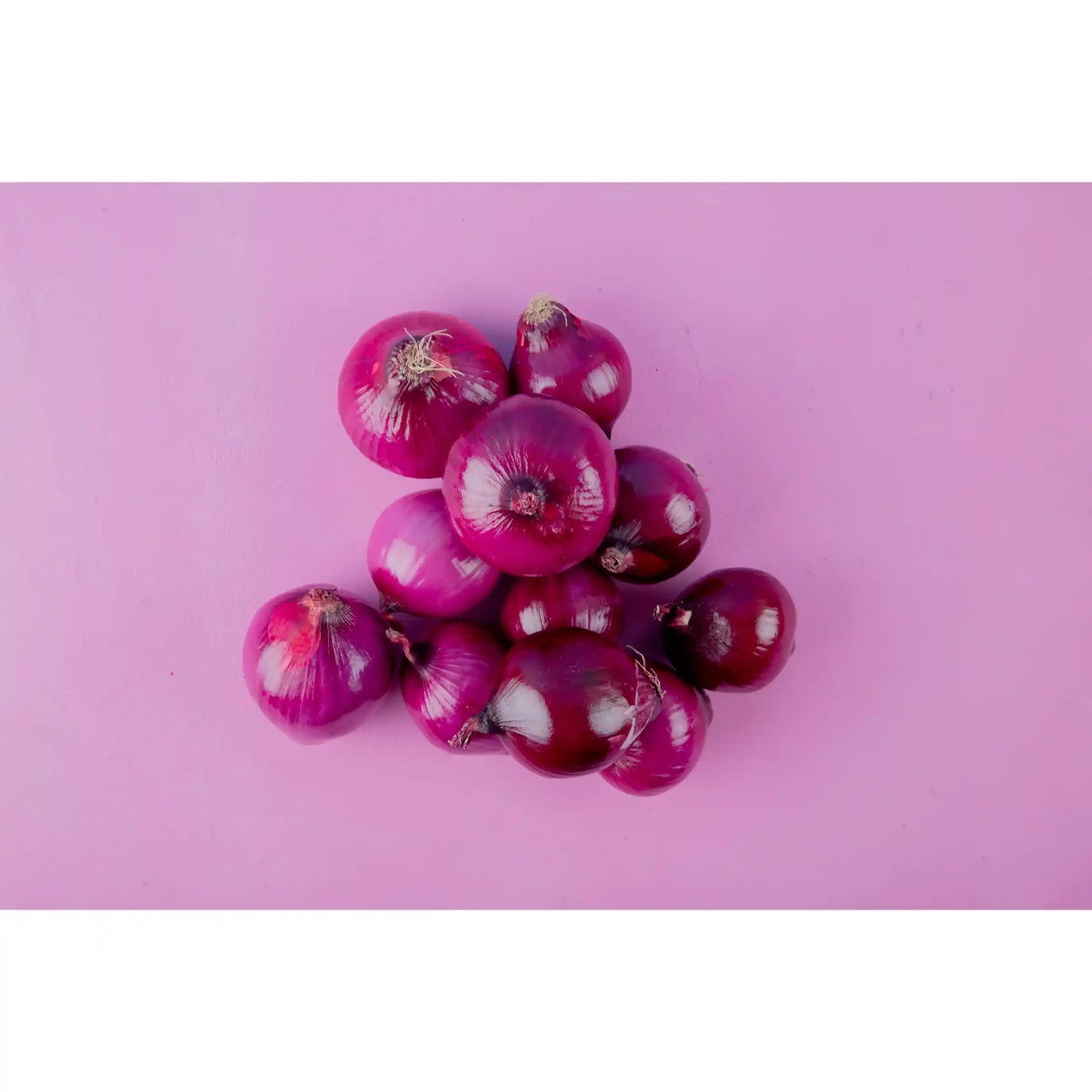small-onion-seeds-co-variety-gms-pack-shallot-multiplier-blueberry-botanicals