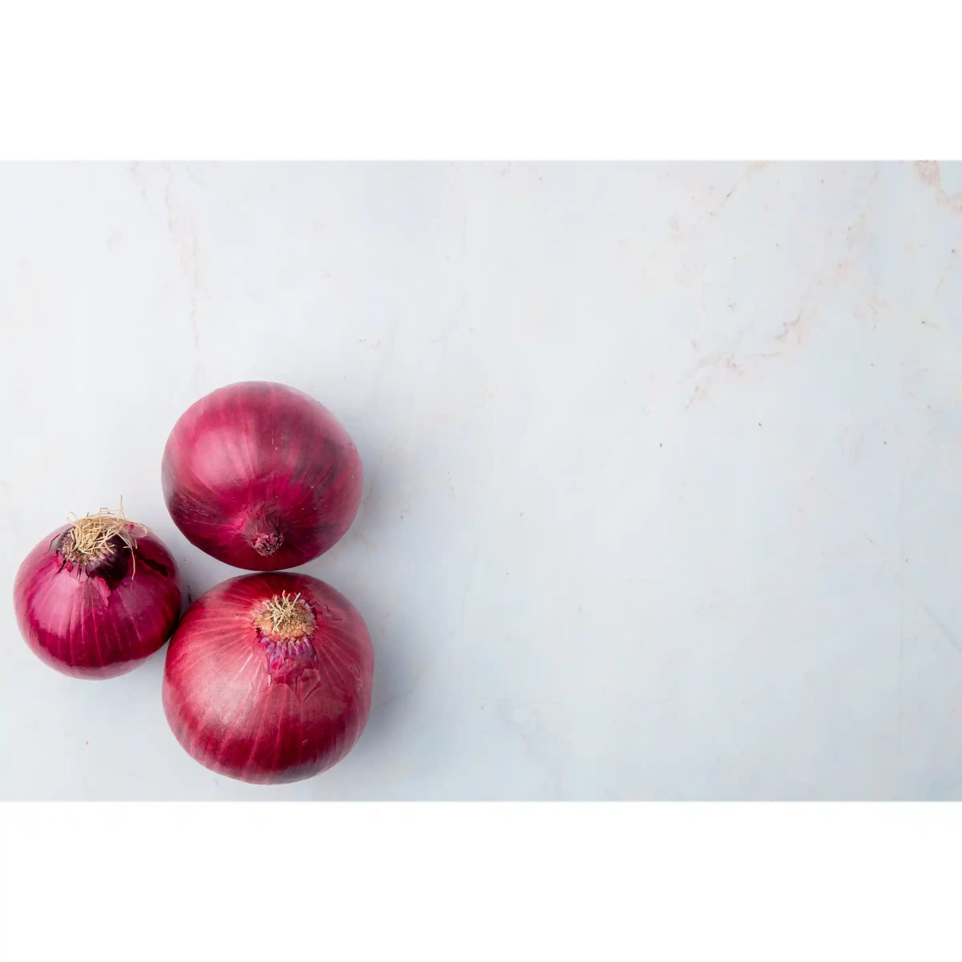 small-onion-seeds-co-variety-gms-pack-shallot-multiplier-blueberry-botanicals