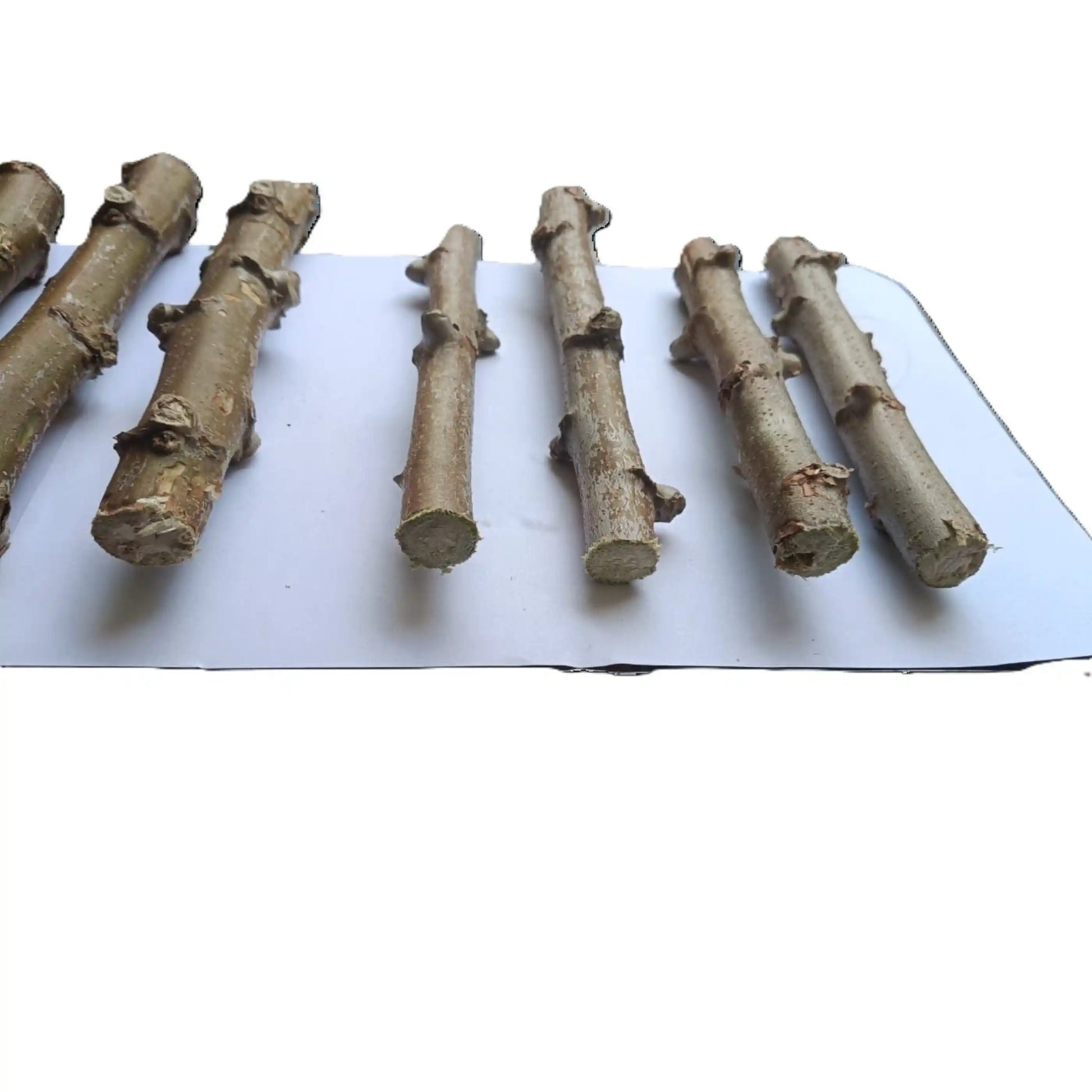 sree-jaya-cassava-stem-cuttings-premium-variety-home-farm-cultivation