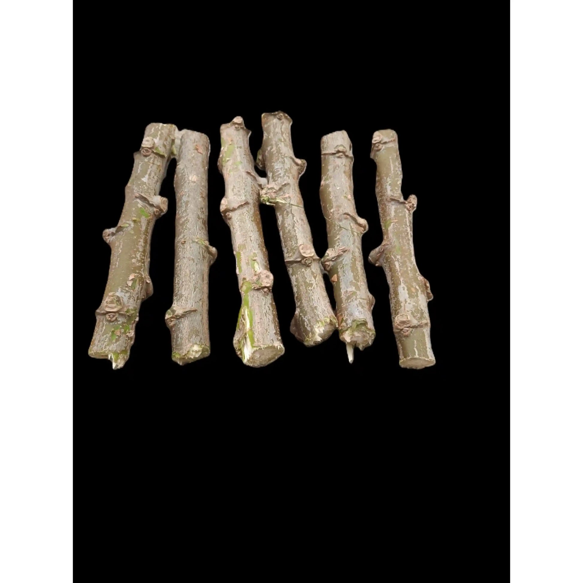 sree-jaya-cassava-stem-tapioca-cuttings-premium-variety-home-farm-cultivation