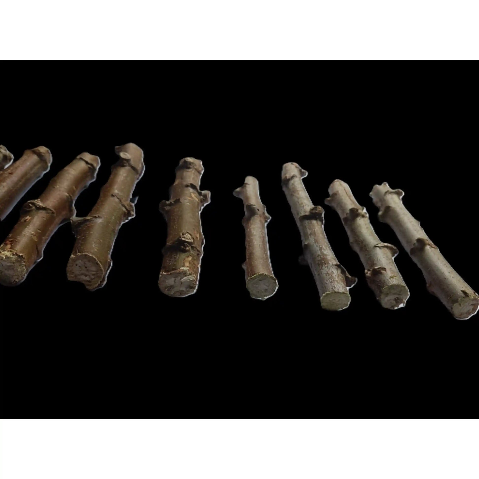 sree-pavithra-cassava-stem-cuttings-premium-variety-home-farm-cultivation