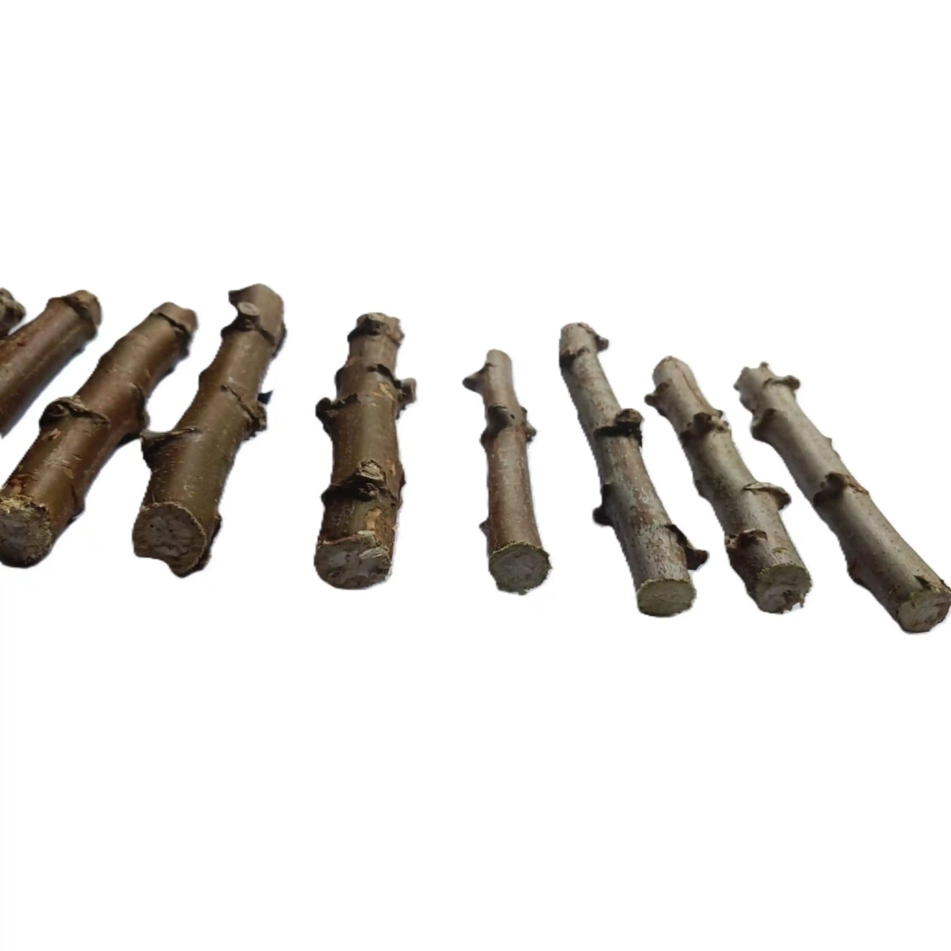 sree-raksha-cassava-stem-cuttings-premium-variety-home-farm-cultivation