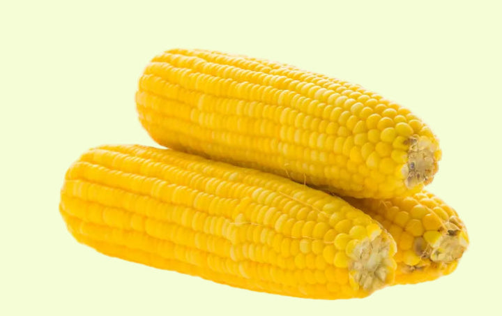 Sweet Corn Seeds 10g - Country Variety High Sugar Content- Blueberry Botanicals