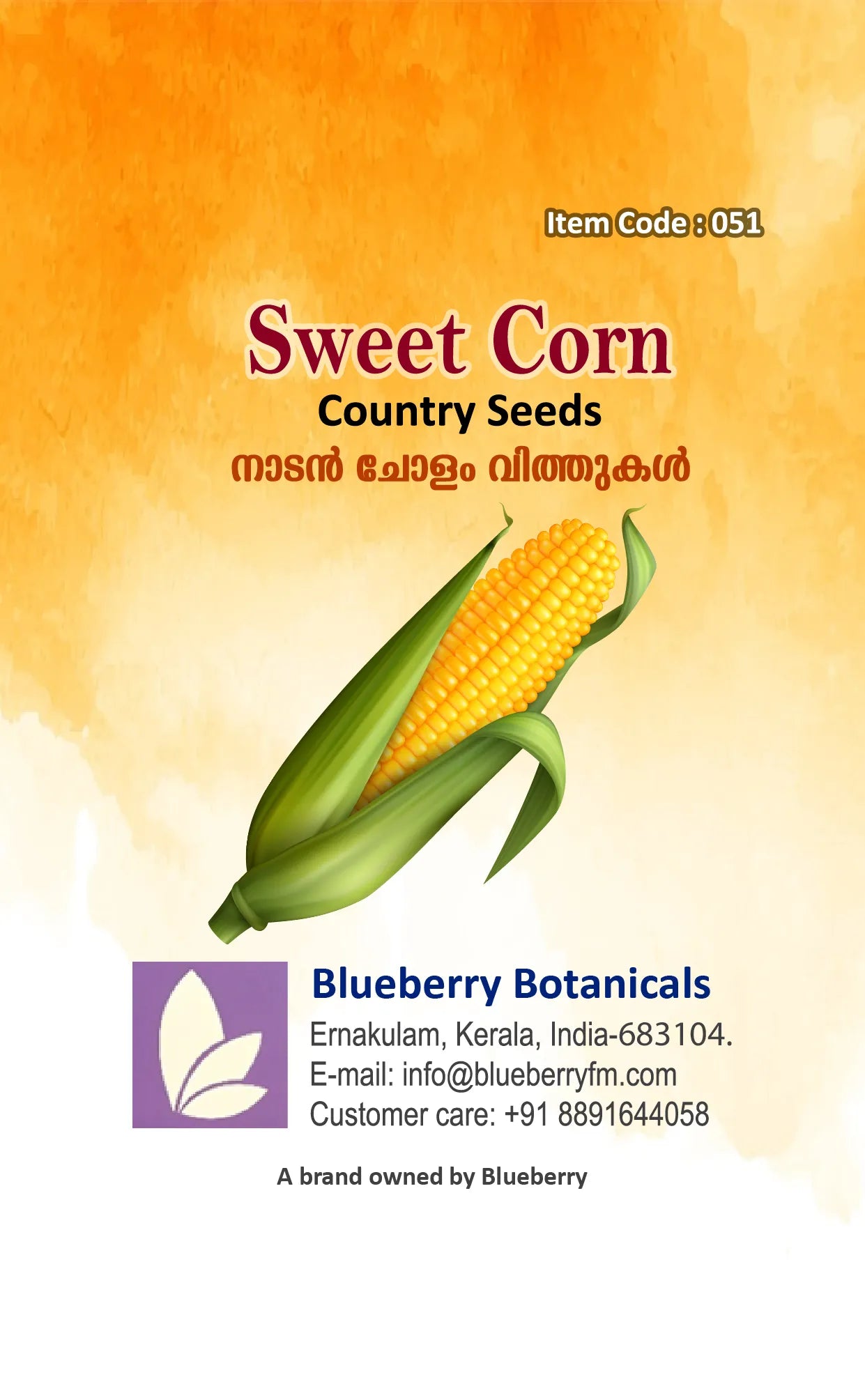 Sweet Corn Seeds 10g - Country Variety High Sugar Content- Blueberry Botanicals