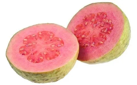 Thai Red Guava 30cm | Hardy Zone | Blueberry Botanicals