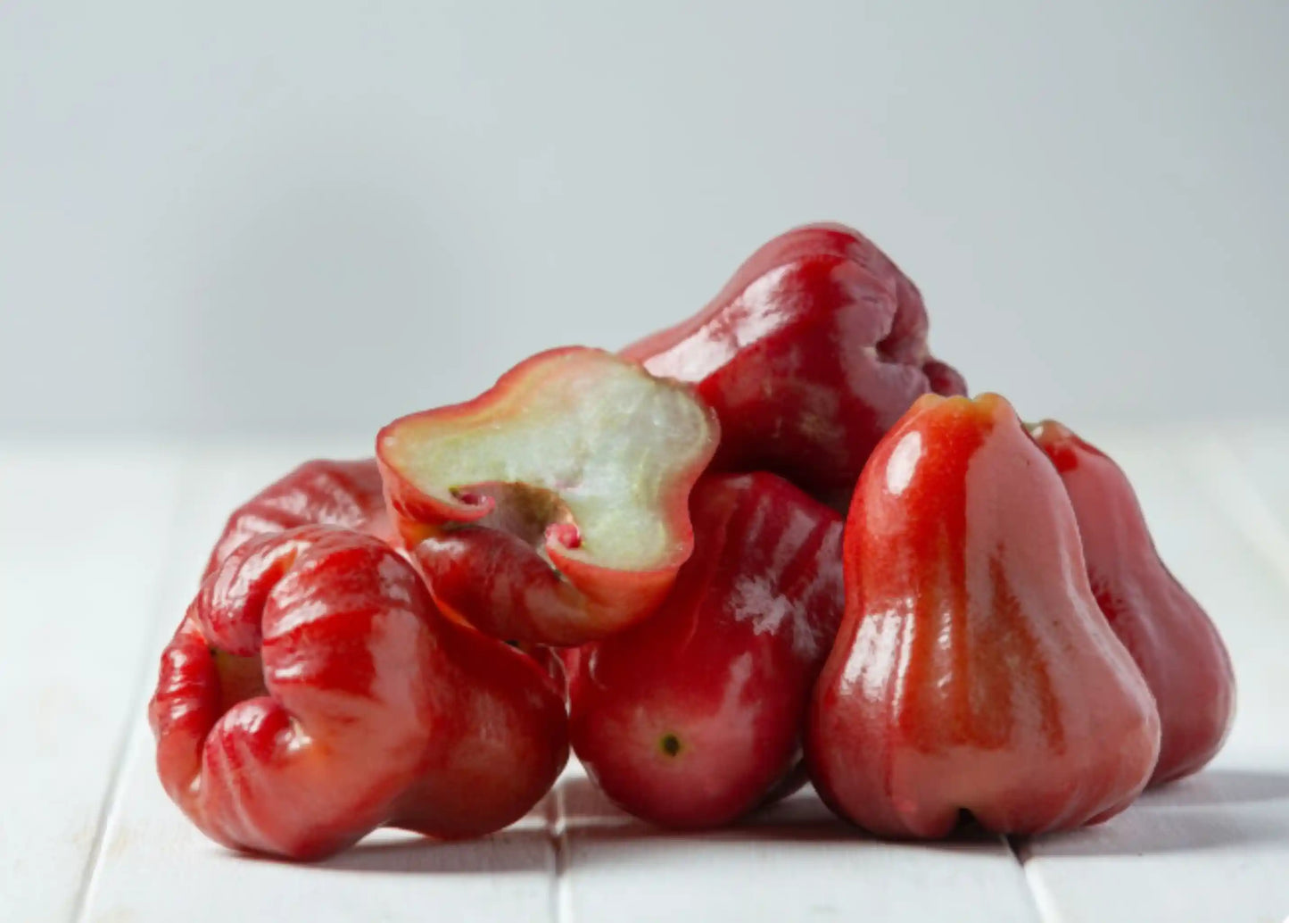 thai-rose-apple-30cm-syzygium-jambos-blueberry-botanicals