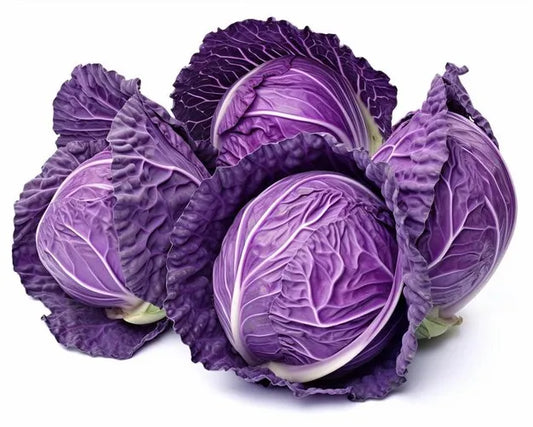 Violet Cabbage Seeds 80pcs - Antioxidant Rich | Blueberry Botanicals