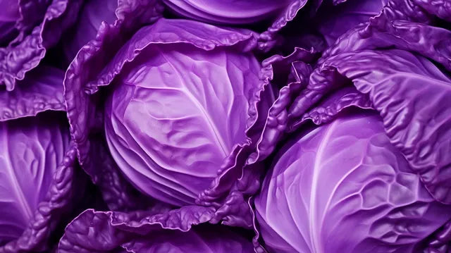 violet-cabbage-seeds-home-gardening-blueberry-india