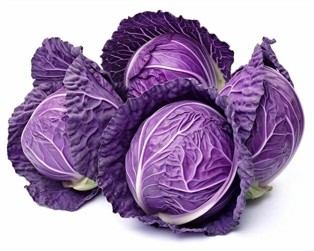 violet-cabbage-seeds-home-gardening-blueberry-india