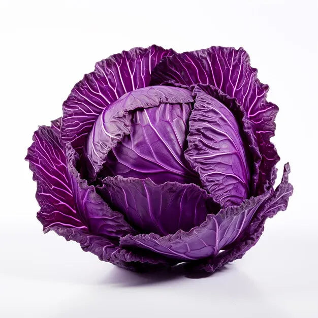 violet-cabbage-seeds-home-gardening-blueberry-india