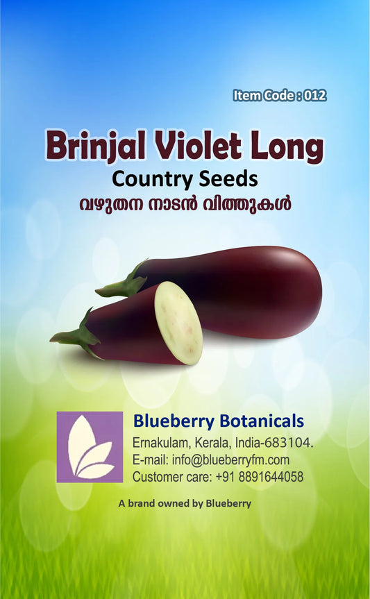 Violet Long Brinjal Seeds 80pcs - Country Variety Eggplant- Blueberry Botanicals