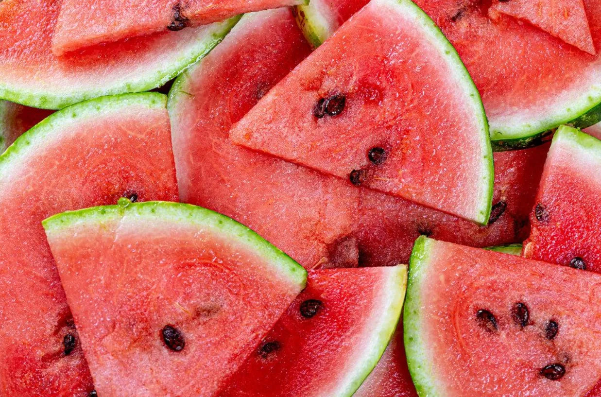 Watermelon Seeds - Green Country Variety 12 Seeds | Blueberry Botanicals