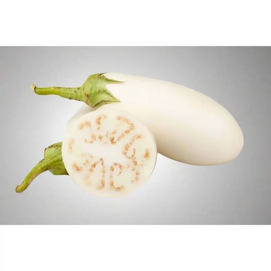 White Hybrid Brinjal Seeds 25pcs - Superior Yield Eggplant- Blueberry Botanicals