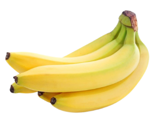 Yellow G9 Banana 30cm | Grand Naine | Blueberry Botanicals